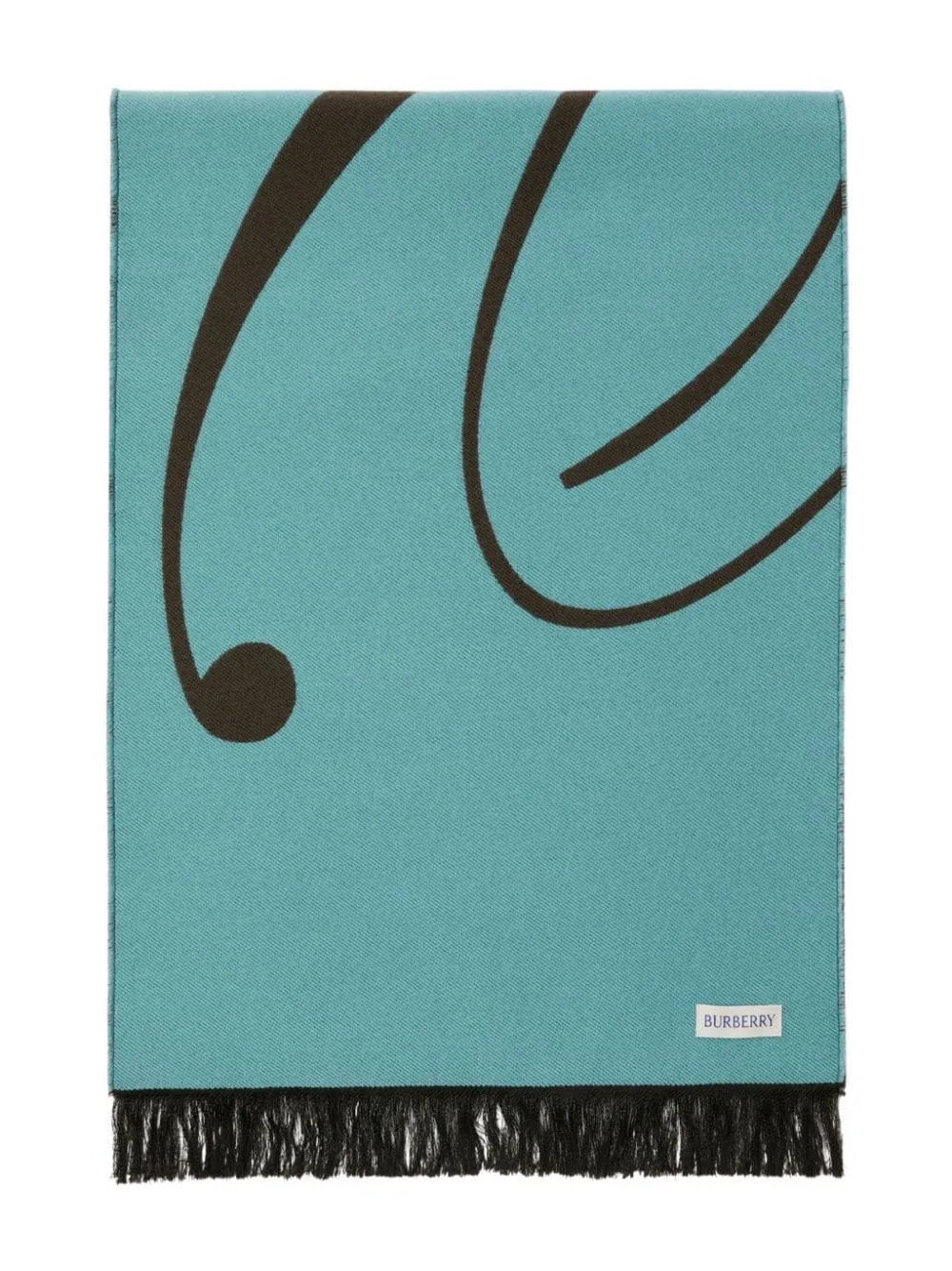 Burberry Women's Scarfs Clear Blue