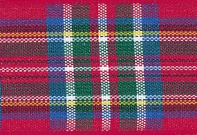 Royal Stewart Tartan Ribbon cut to 80CM (24 pieces)
